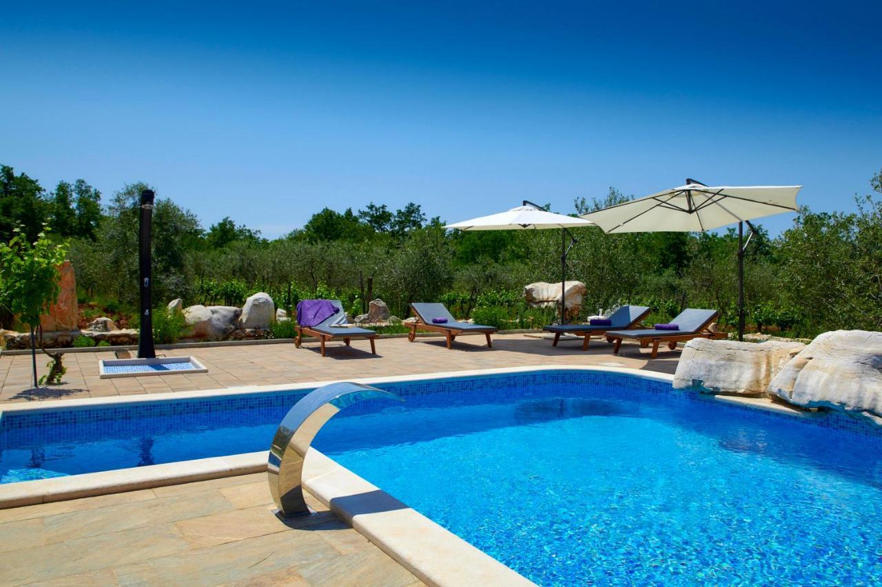 Stifanići Relax House Surrounded By Olives And Vineyard 빌라 외부 사진