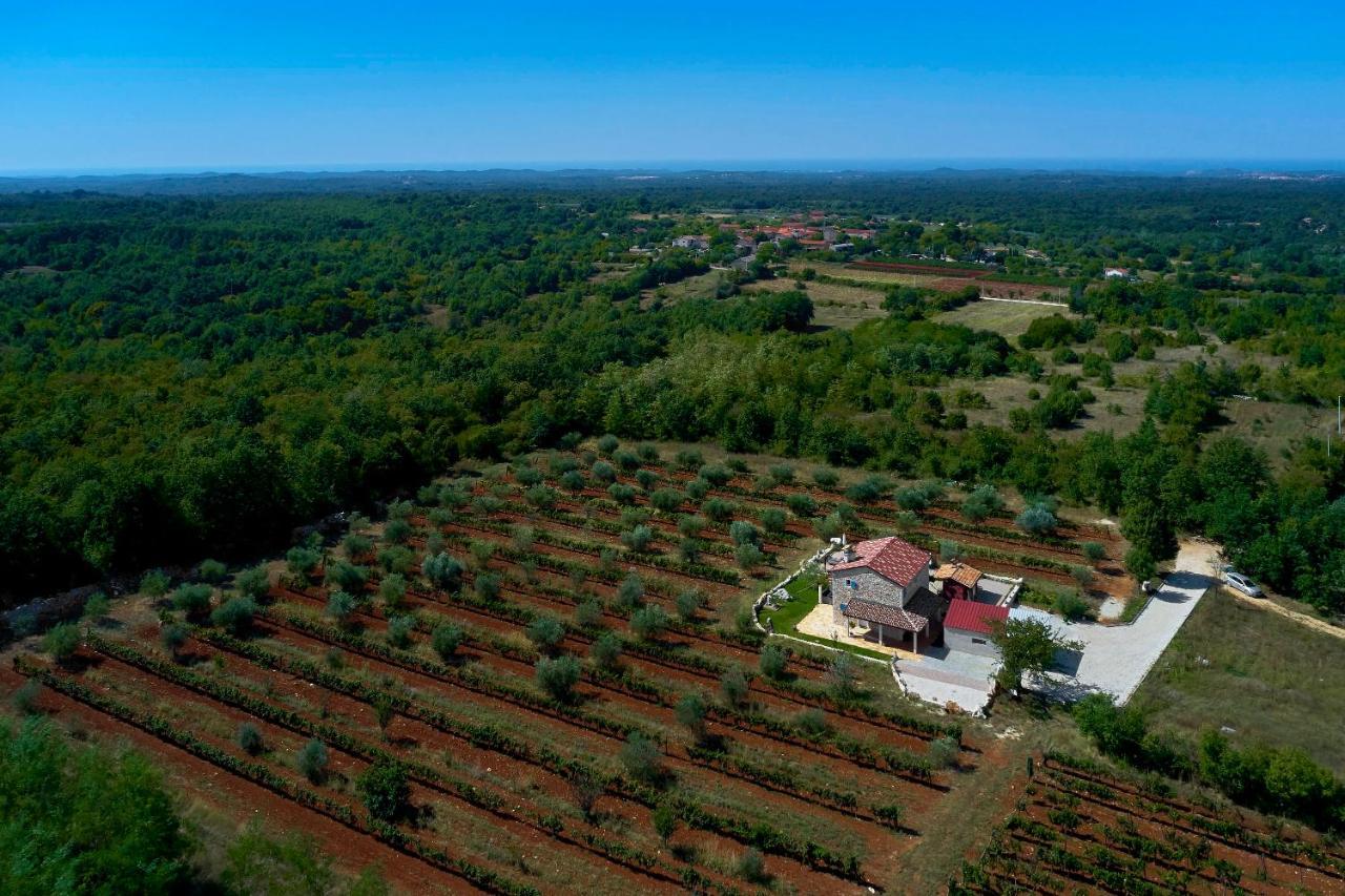 Stifanići Relax House Surrounded By Olives And Vineyard 빌라 외부 사진