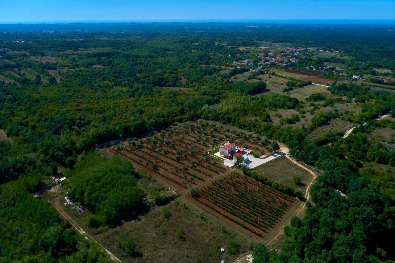 Stifanići Relax House Surrounded By Olives And Vineyard 빌라 외부 사진